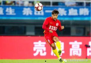 杜震宇最新爆料,揭秘娱乐圈惊人内幕！