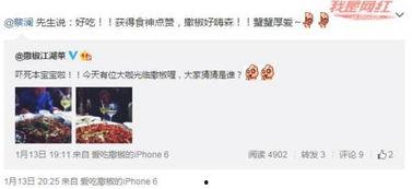 珠海餐饮爆料事件真相视频,揭秘事件背后真相与内幕